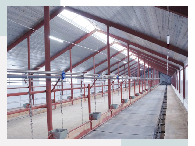 Строительство коровников в Североуральске от 618 руб.