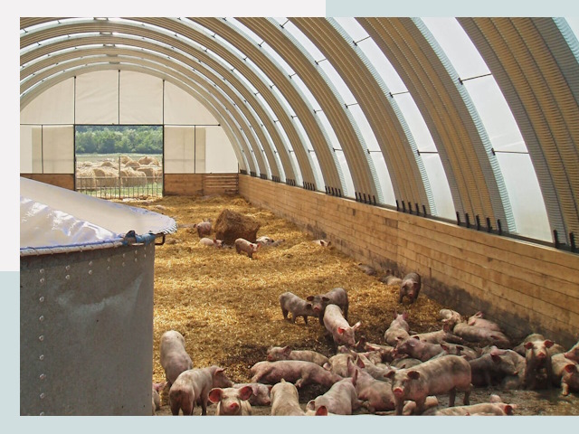 Строительство свинарников в Североуральске