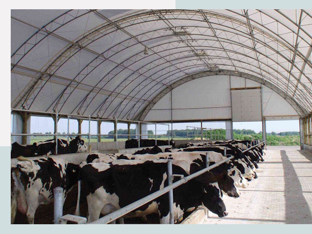 Тентовые коровники в Североуральске